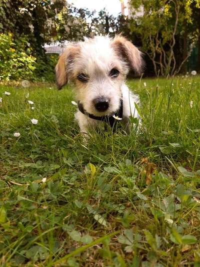 Foto Challenge 3-Beitrag-Bild