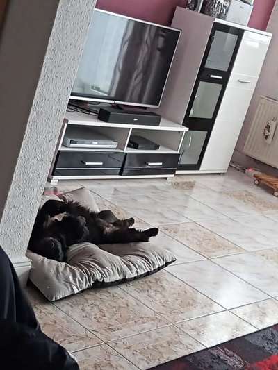 Die unbequemsten und lustigsten Schlafpositionen-Beitrag-Bild