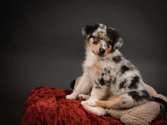 Foto Challenge 3-Beitrag-Bild