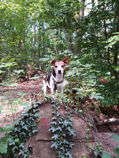 Foto Challenge Nr. 79-Beitrag-Bild