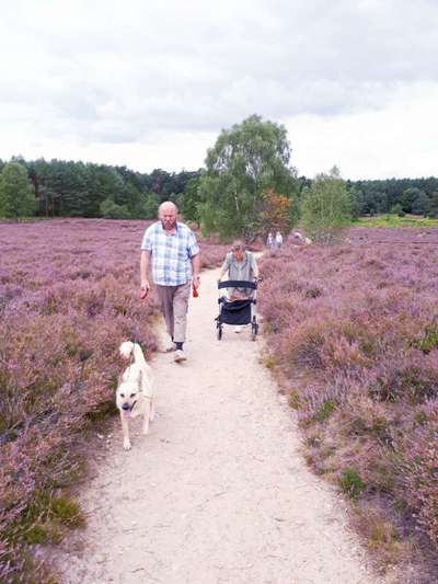 Fotochallenge No. 26                                     Wald und Wiese-Beitrag-Bild