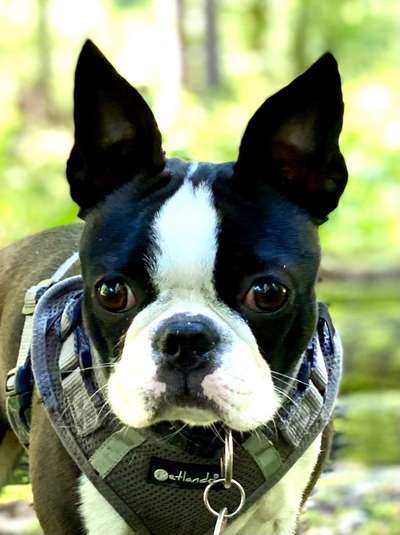 Fotochallange Nr. 57     PORTRÄT.   Beendet!!!!!!!!-Beitrag-Bild