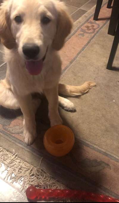 Das beste grinsefoto-Beitrag-Bild