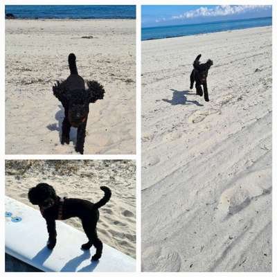 37. Collagen Challenge- Am Strand-Beitrag-Bild