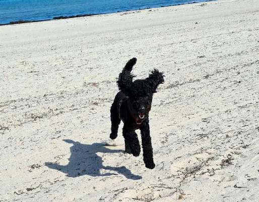 FOTO CHALLENGE Thema ,,durchdrehen"-Beitrag-Bild