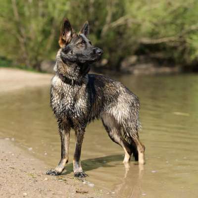 FOTOCHALLENGE 86-Beitrag-Bild