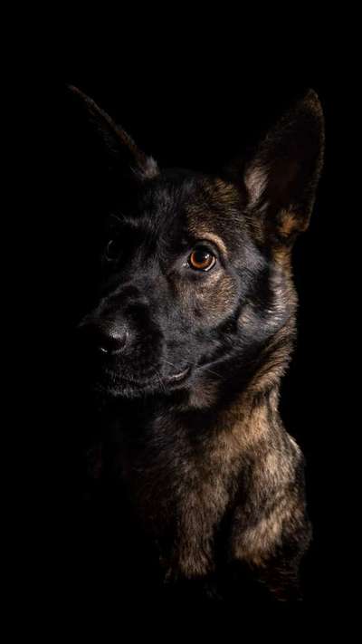 Austausch zur Fotografie-Beitrag-Bild