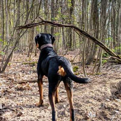 "Wege zur Freundschaft" (Ulli Reichmann)-Beitrag-Bild