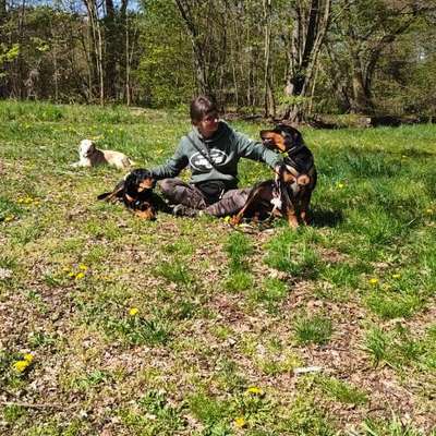 "Wege zur Freundschaft" (Ulli Reichmann)-Beitrag-Bild