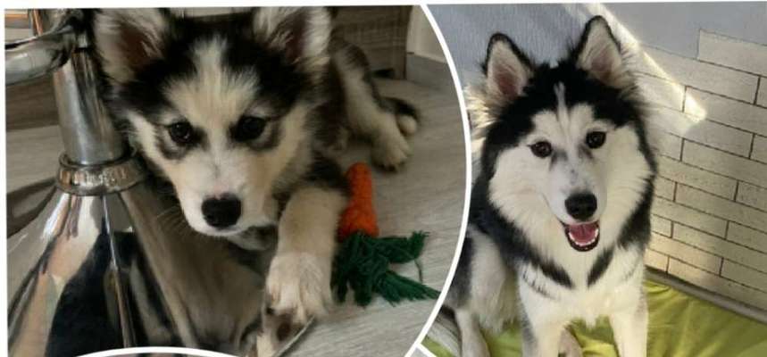 Vorher.... Nachher-Beitrag-Bild