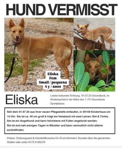 Suchmeldung-Eliska-Bild