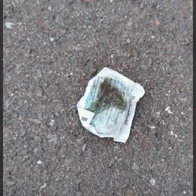 Giftköder-Rattengift-Bild