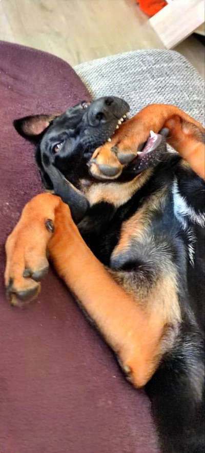 Her mit dem Grimassen-Beitrag-Bild