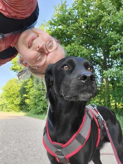Hundetreffen-Run Club mit Hund-Bild