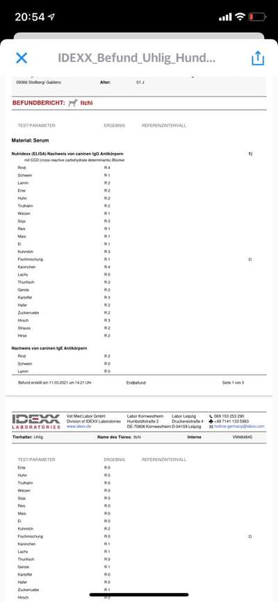 Windhunde - Treffen der besonderen Schönheiten
HERZLICH WILLKOMMEN-Beitrag-Bild