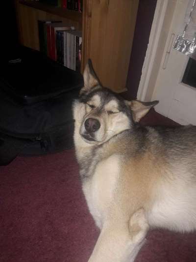 Die unbequemsten und lustigsten Schlafpositionen-Beitrag-Bild