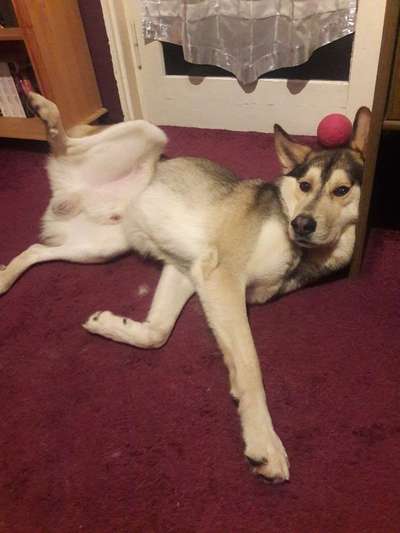 Die unbequemsten und lustigsten Schlafpositionen-Beitrag-Bild