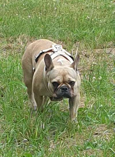 In welchem bundesland lebt ihr-Beitrag-Bild