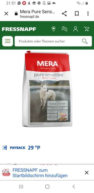 Französische Bulldoggen-Beitrag-Bild