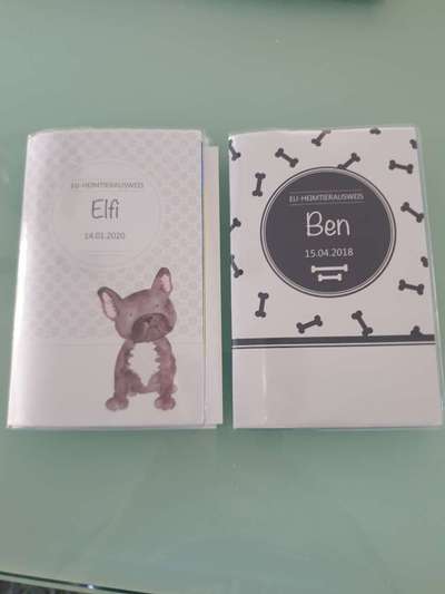 Impfpasshülle ja/nein?-Beitrag-Bild