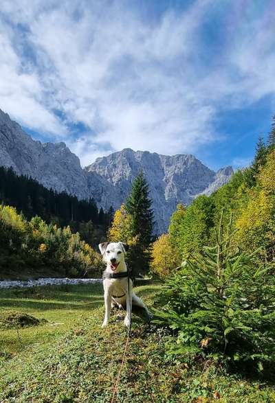 Fotochallenge Nr. 56 - geliebte Senioren-Beitrag-Bild