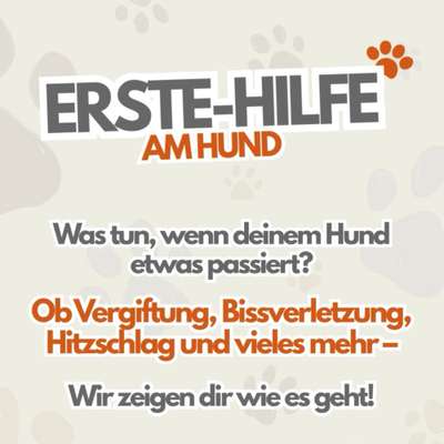 %{de_profession_title}-Erste-Hilfe am Hund-Bild