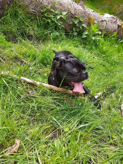 Fotochallenge 37- Sommerfeeling-Beitrag-Bild