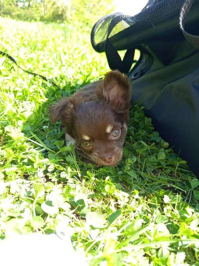 Liebling ,richtig in Szene setzen-Beitrag-Bild