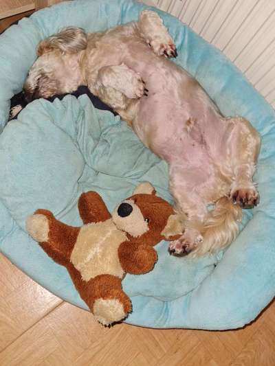 Fotochallenge Nr.65-Beitrag-Bild