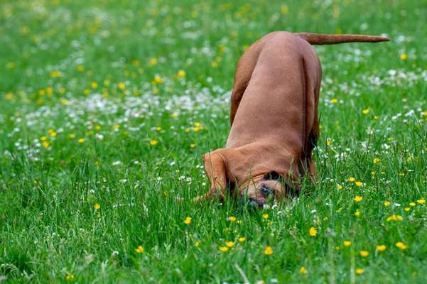 Vorher.... Nachher-Beitrag-Bild