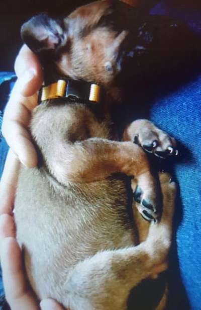 Das erste Foto-Beitrag-Bild