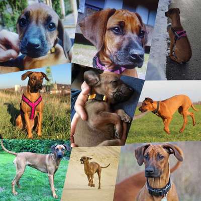 Vorher.... Nachher-Beitrag-Bild