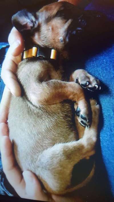 Das erste Foto-Beitrag-Bild