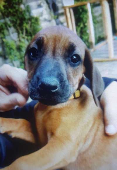 Das erste Foto-Beitrag-Bild