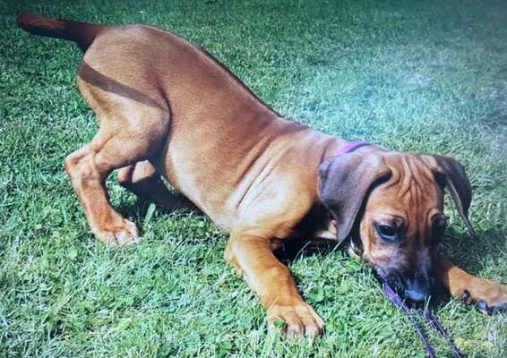 Vorher.... Nachher-Beitrag-Bild