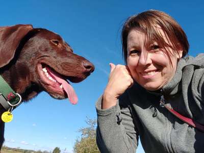 Hundetreffen-Gemeinsam Gassi gehn 🐕🐾🐾-Bild