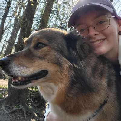 Hundetreffen-Gassi im Grünen Wald-Bild