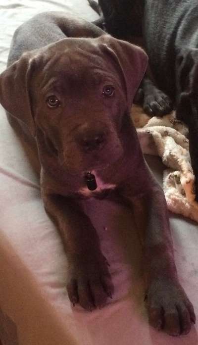 Geschreddert!-Beitrag-Bild