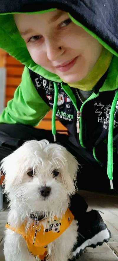 Hundekleidung - Top oder Flop-Beitrag-Bild