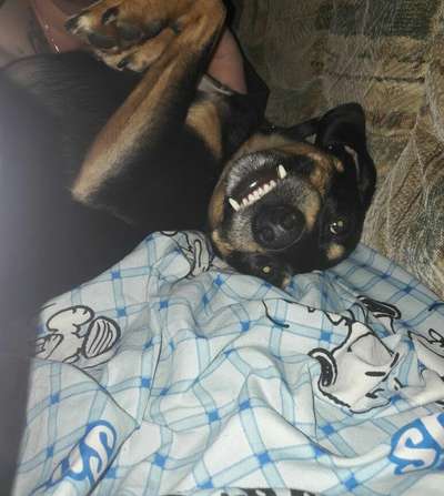 Lieblingsbild-Beitrag-Bild