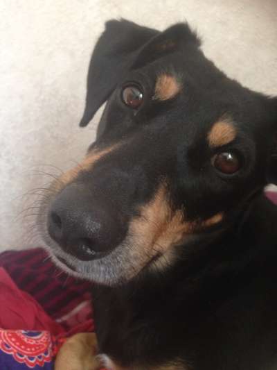 Lieblingsbild-Beitrag-Bild