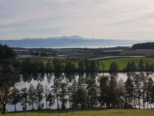 Hundeauslaufgebiet-Vom Schleinsee zum Degernsee-Bild