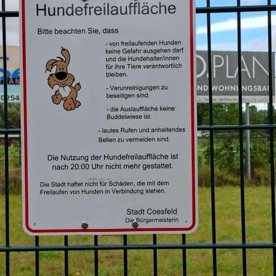 Hundeauslaufgebiet-Hundewiese-Bild