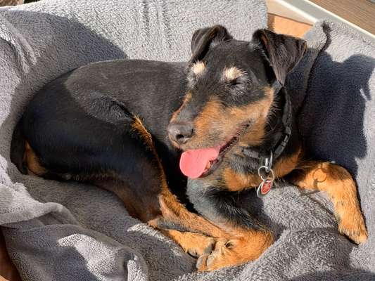 Suchmeldung-BINA-Bild