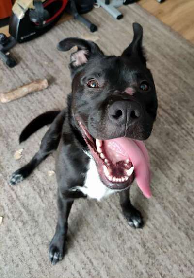 Abkühlung durch abduschen?-Beitrag-Bild