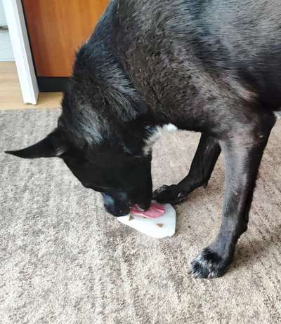 Abkühlung durch abduschen?-Beitrag-Bild