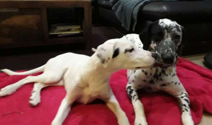 Fotochallenge liebespaare-Beitrag-Bild