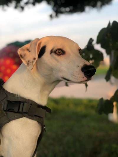 Fotochallange Nr. 57     PORTRÄT.   Beendet!!!!!!!!-Beitrag-Bild