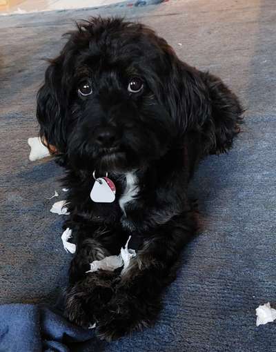 150. Foto Challaenge:  Die Augen, der Spiegel der Seele-Beitrag-Bild