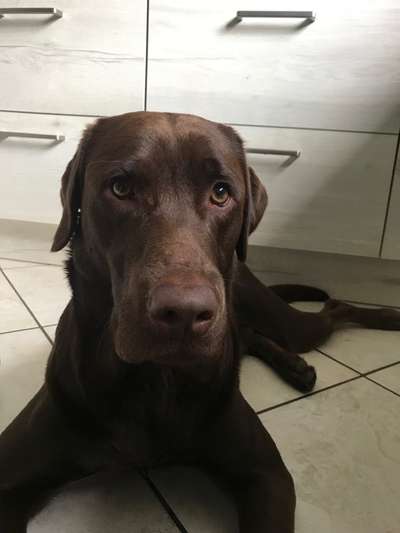 FUN AUFGABEN TOUR-Beitrag-Bild